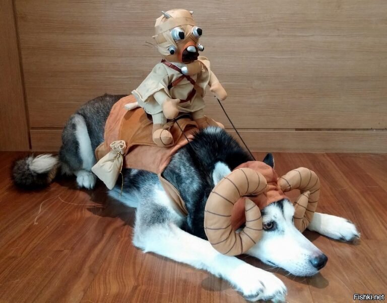 Солянка