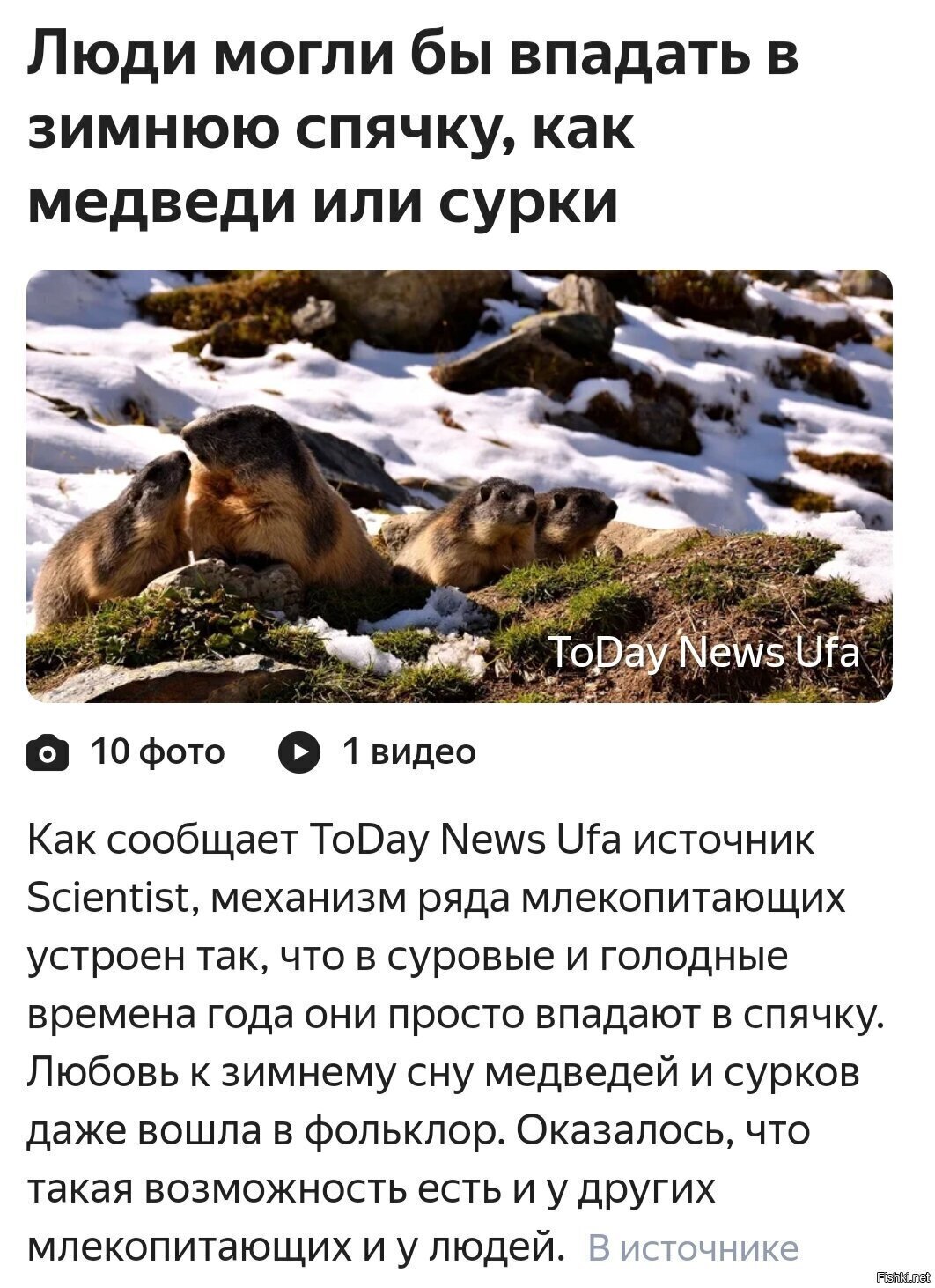 Пришел с работы, блин