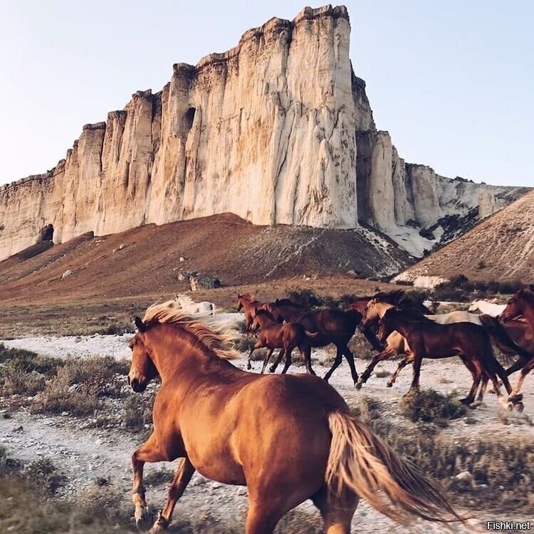 Белая Скала, Крым