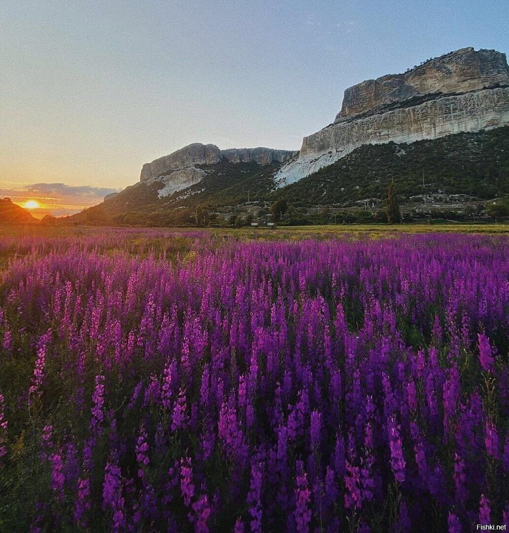 В долине реки Бельбек, Крым