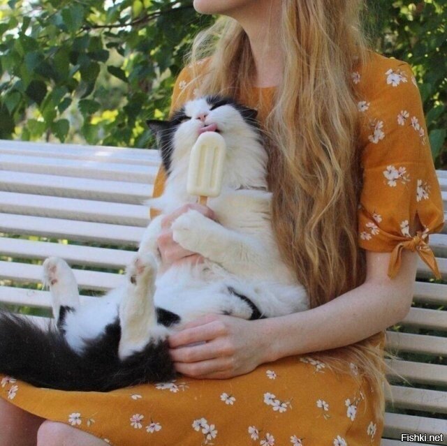 Доброе утро