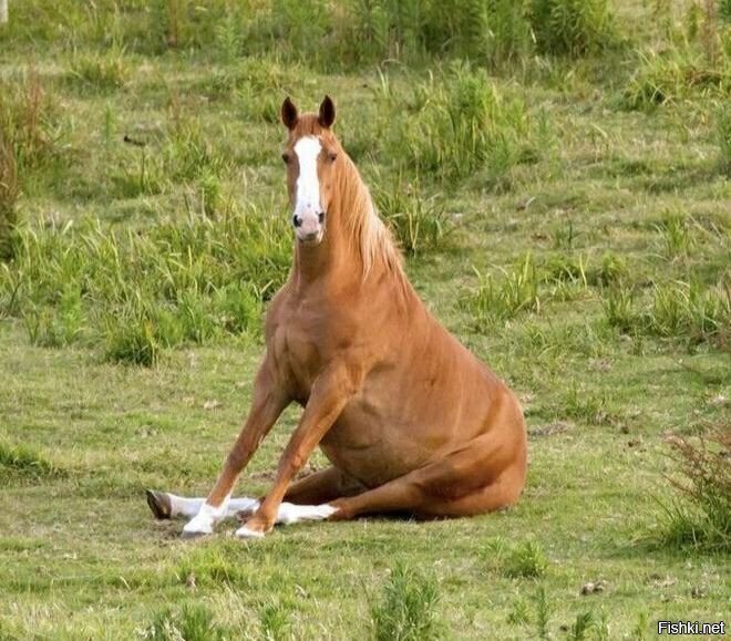 доброе утро))