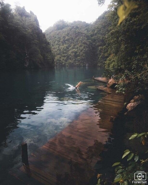 Солянка