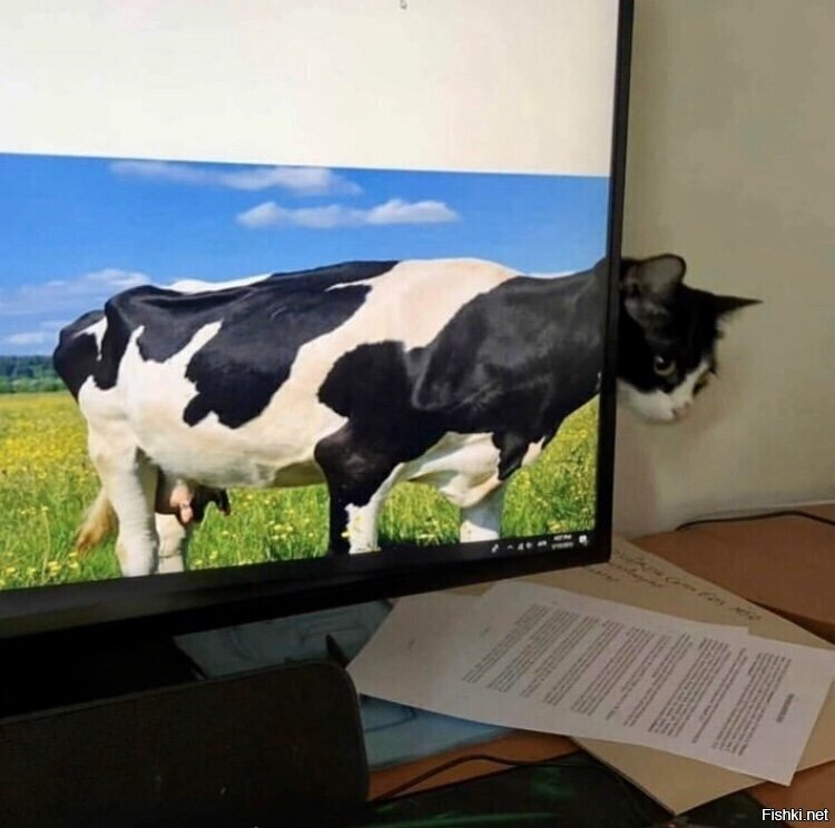 Солянка