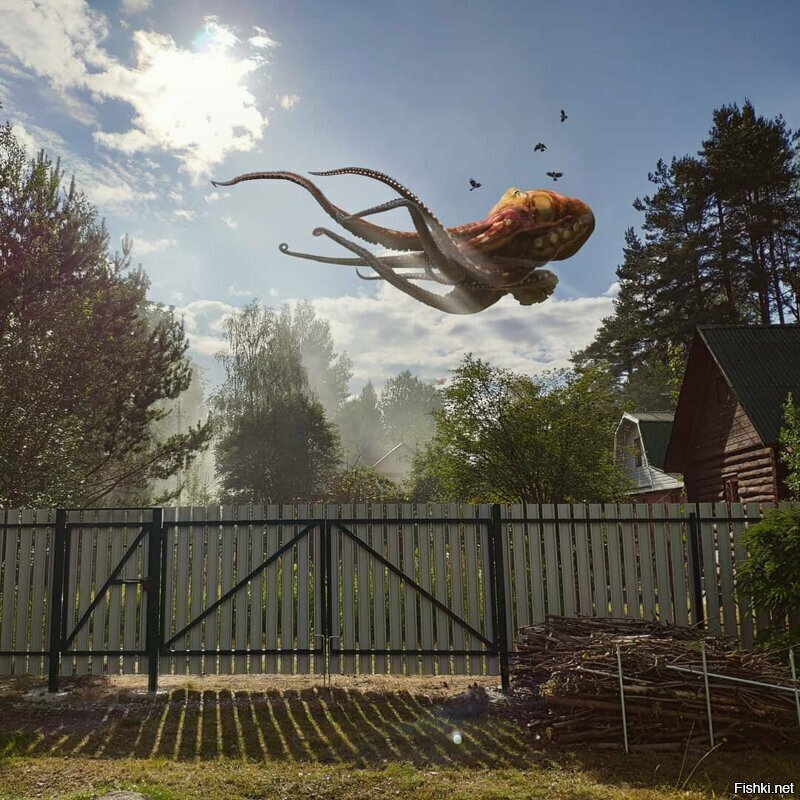Он улетел