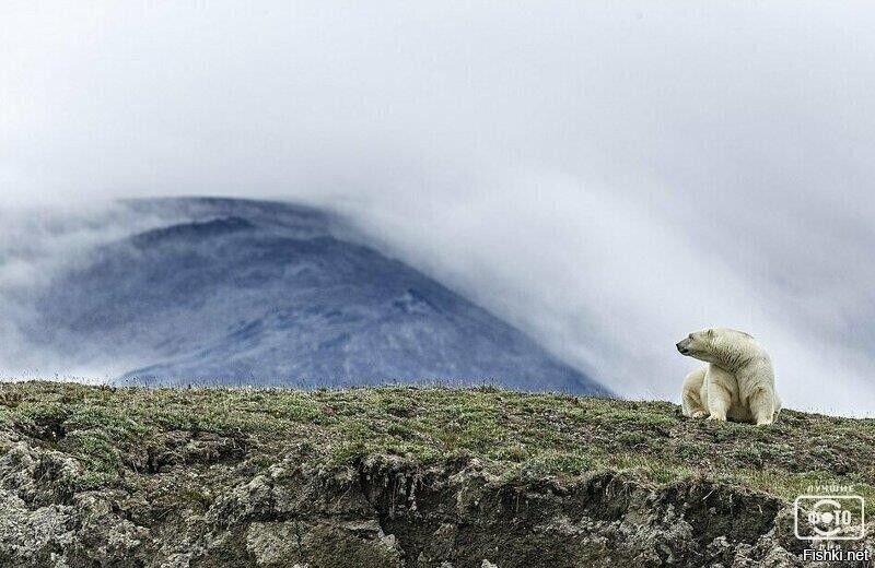 - А где все