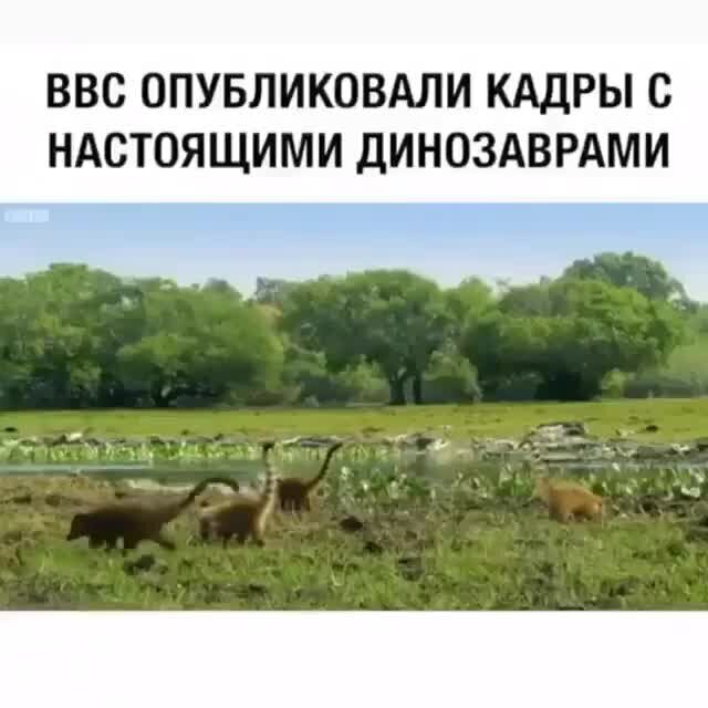 Сенсация 