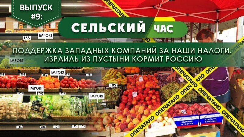 Поддержка западных компаний за наши налоги. Израиль из пустыни кормит Россию