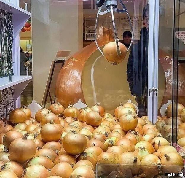 Солянка