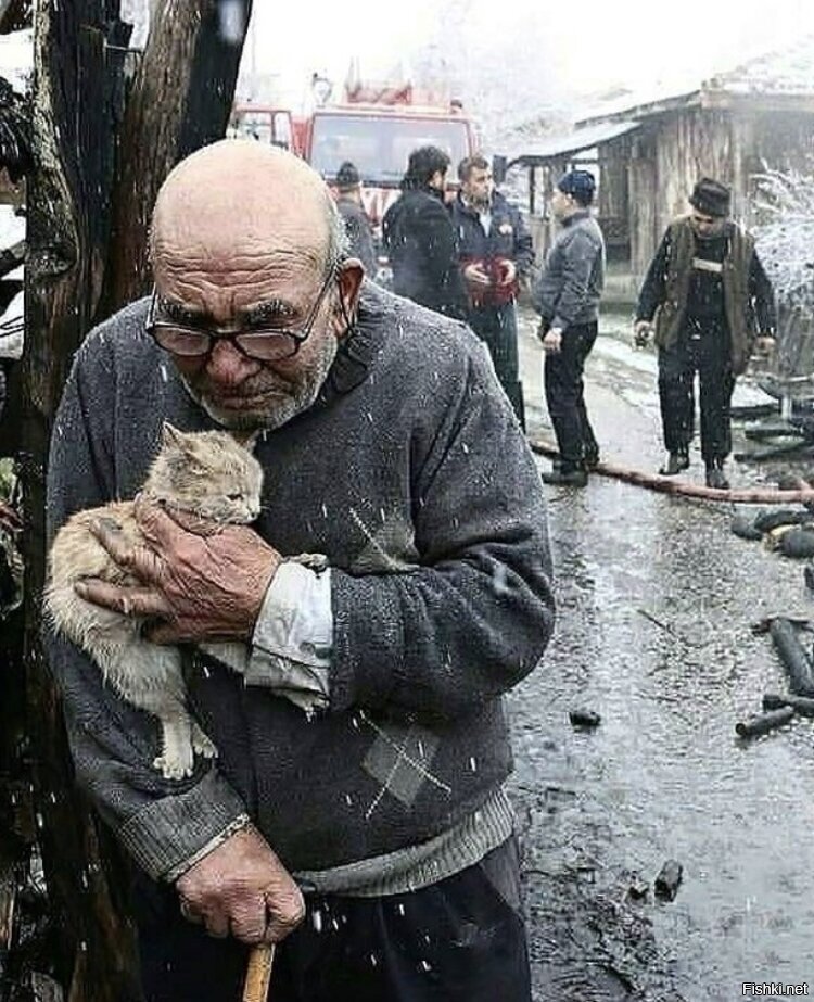 Солянка