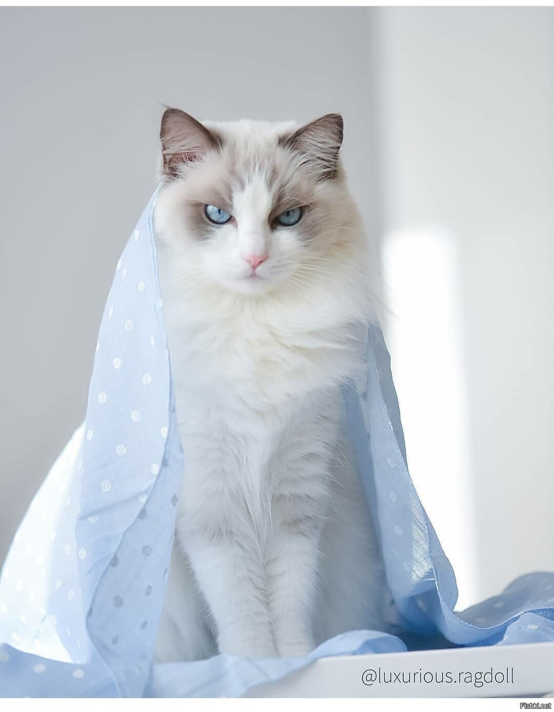 Доброе утро