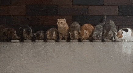Когда нахлынули воспоминания
