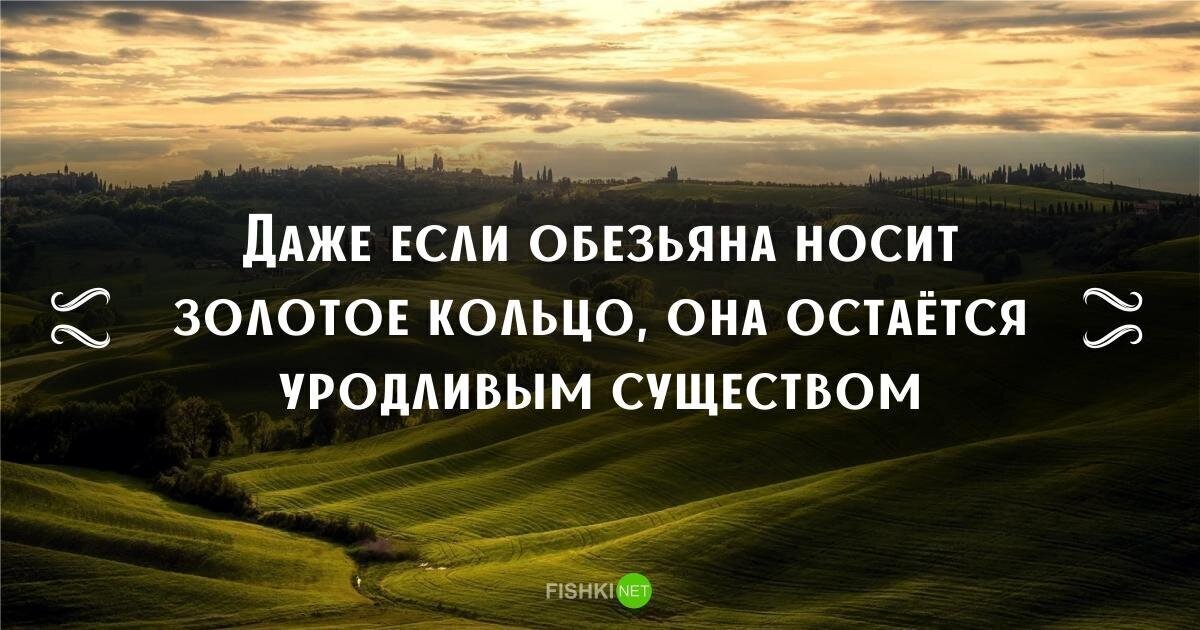 18 нидерландских пословиц на все случаи жизни