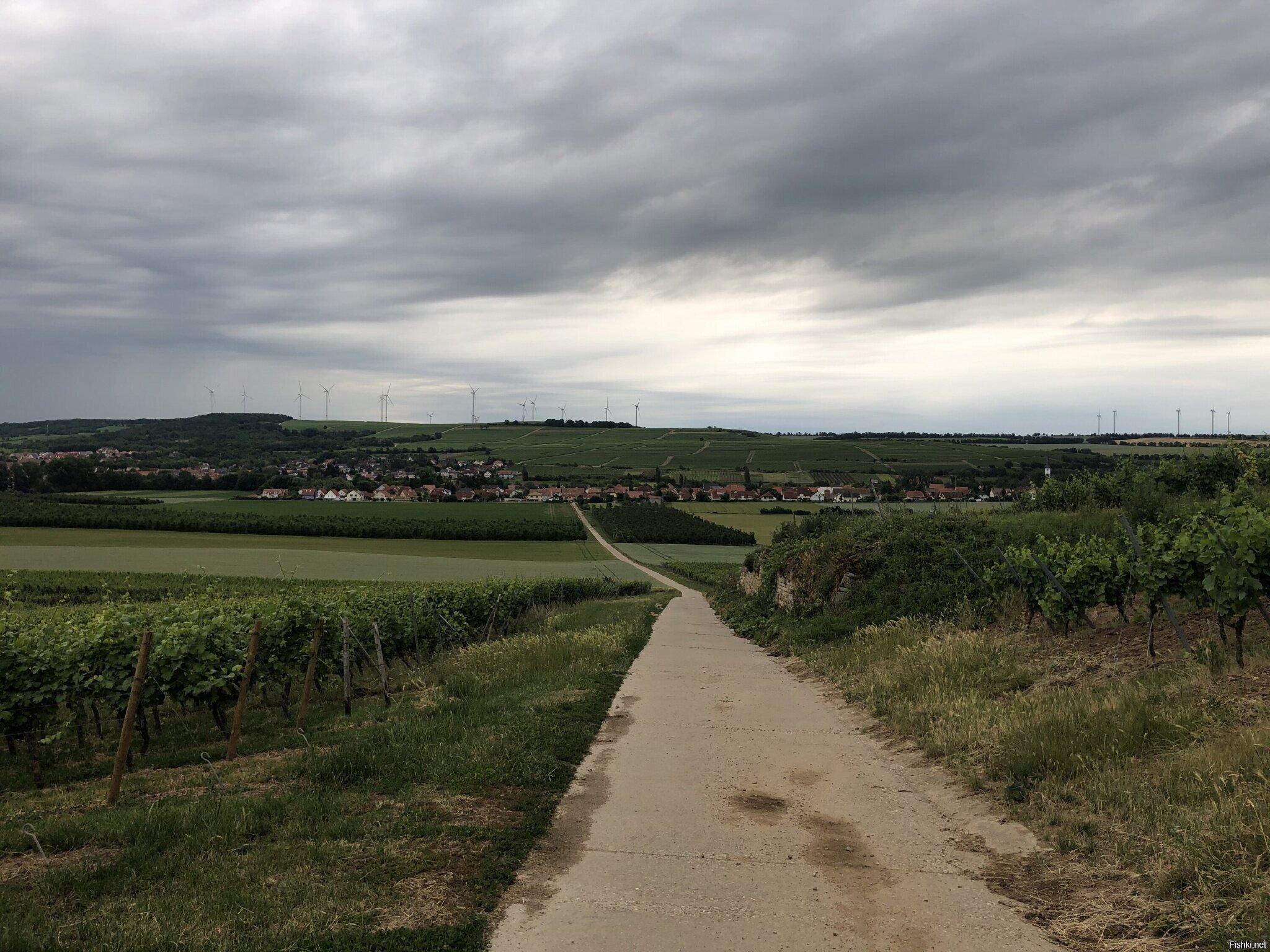 Для Макса, сегодняшний маршрут