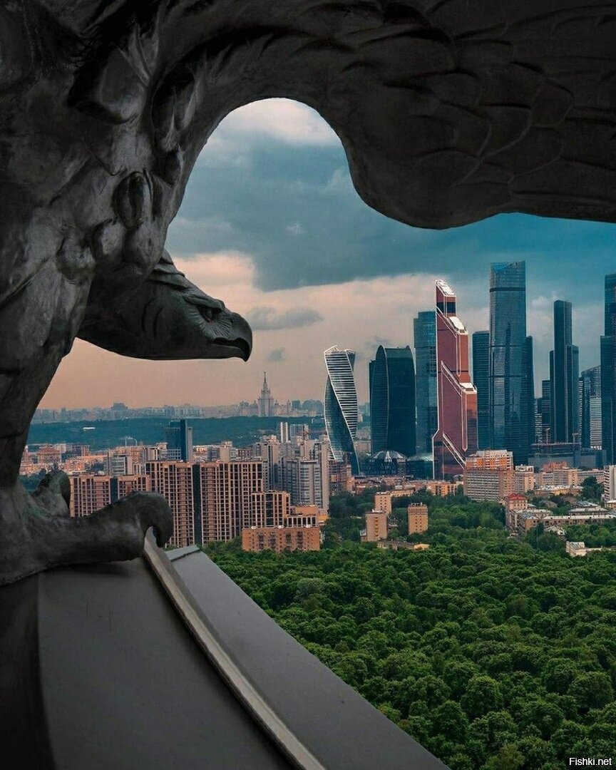 Солянка