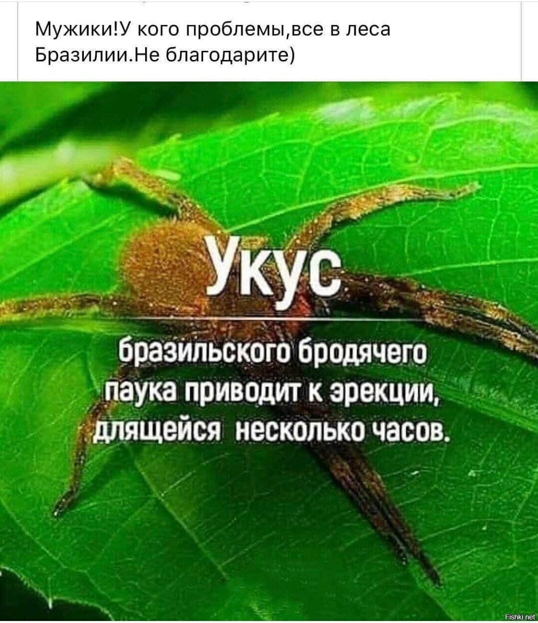 Пойду поищу