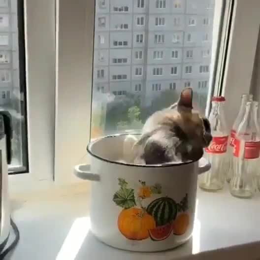 суп кипит