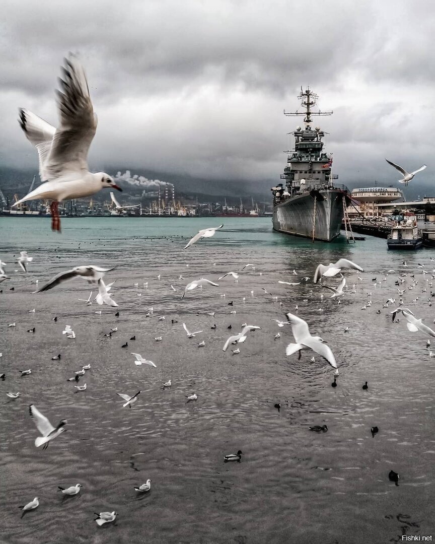 Новороссийск