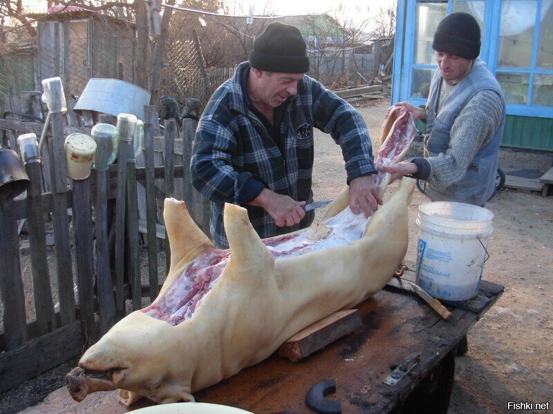 Солянка