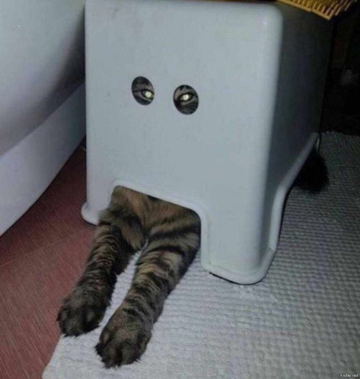 Солянка