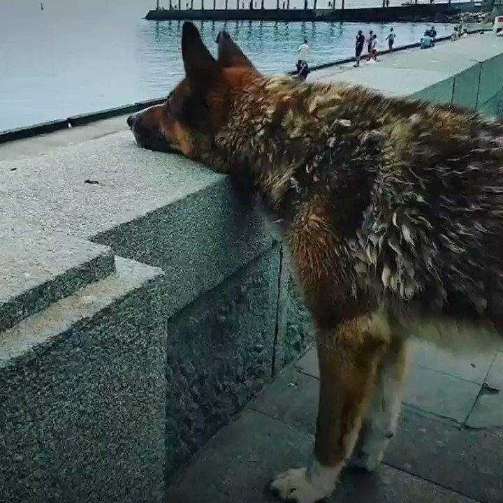 Не всегда же шутковать