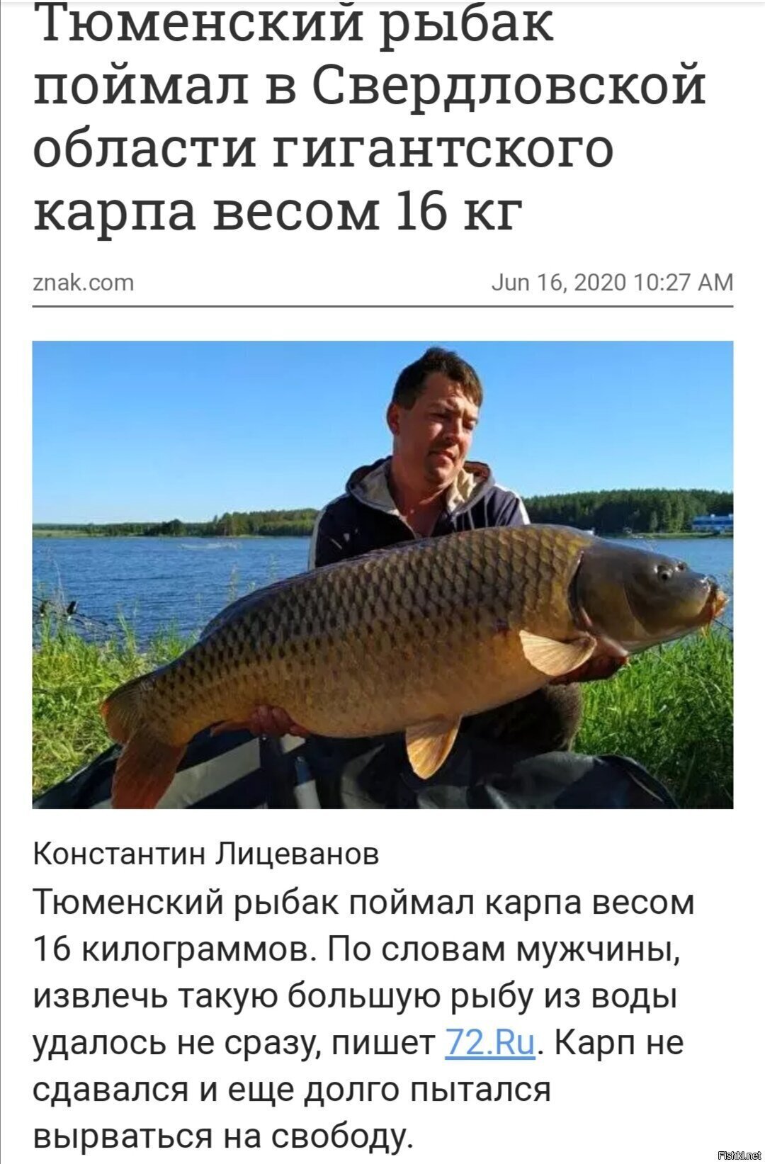 Вот это рыбалка 