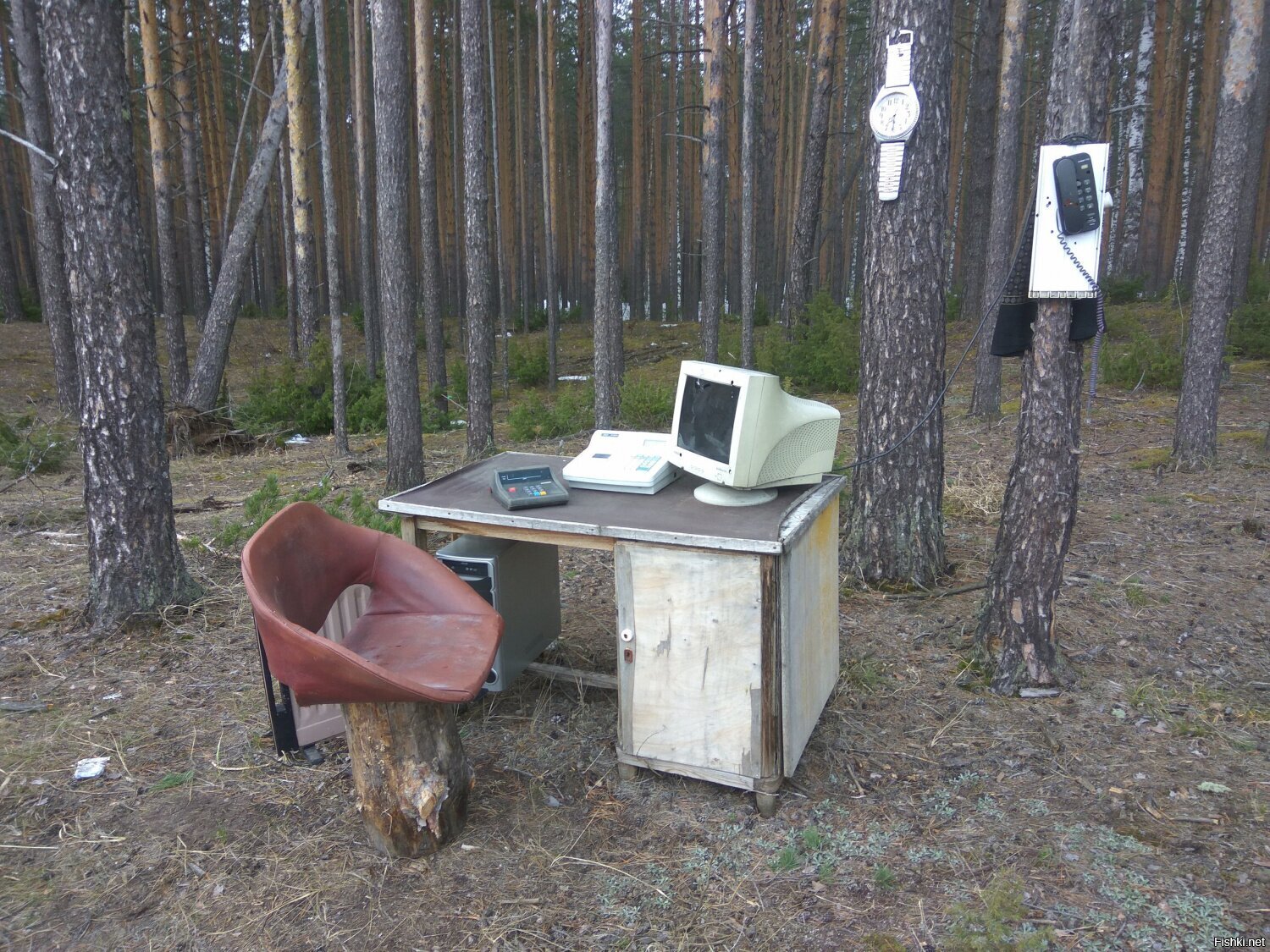Солянка
