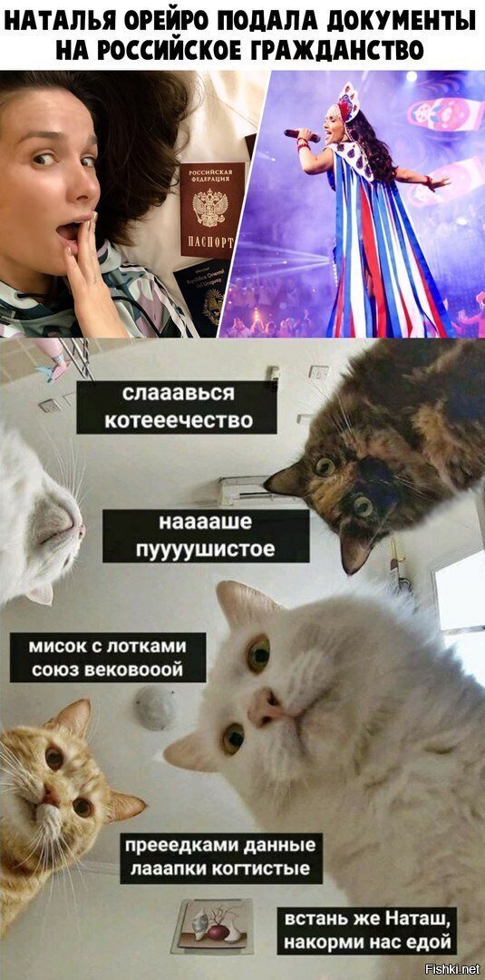 Солянка