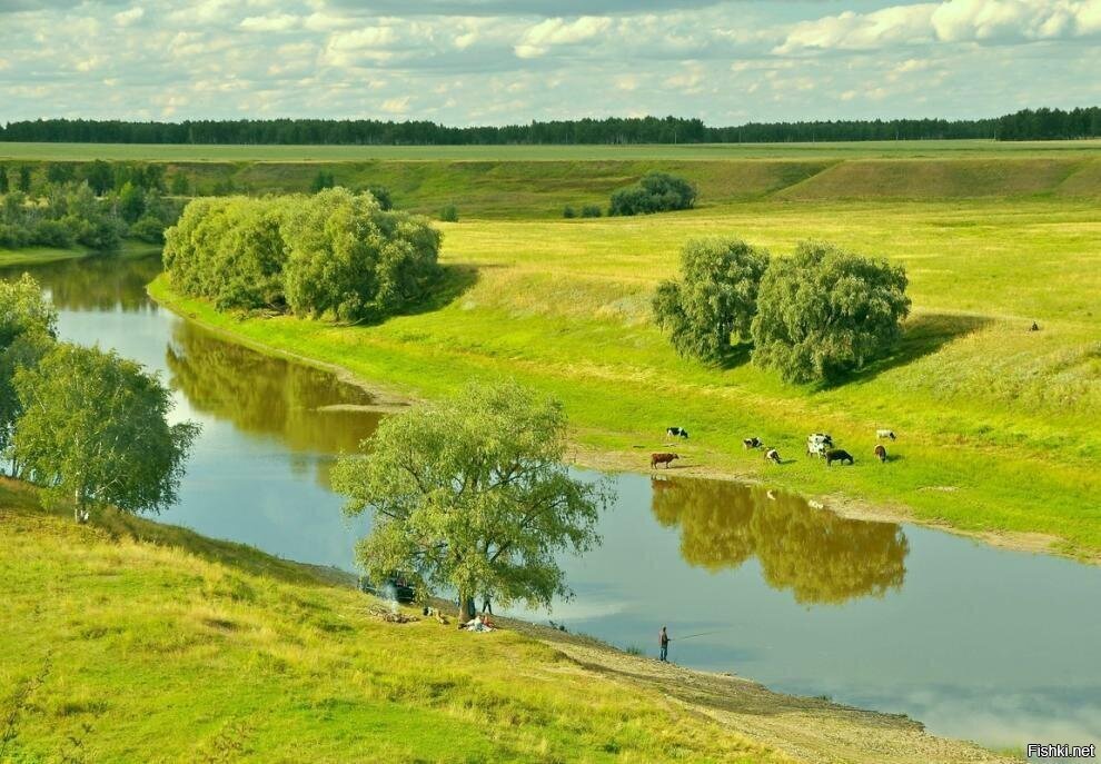 Омская область