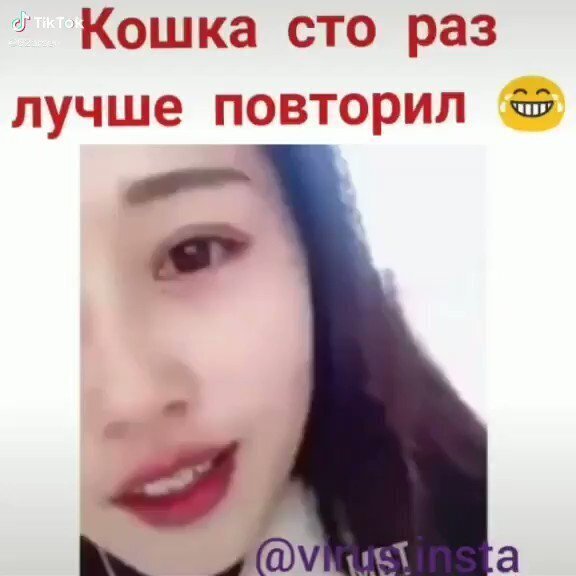 Кошка-то умней