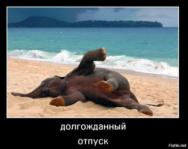 Всем большой горячий привет