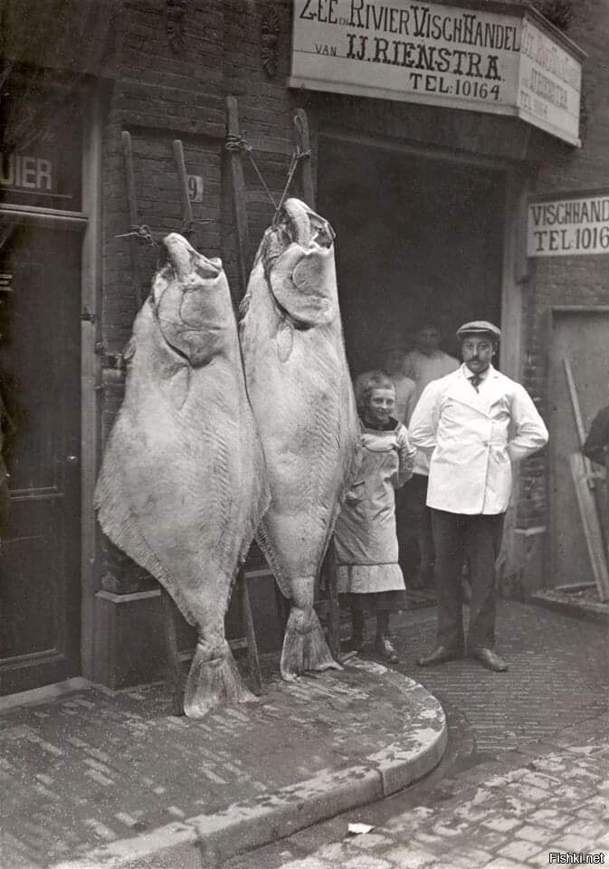 Рыбки на ужин не желаете