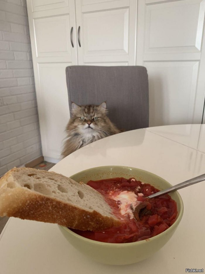 Солянка
