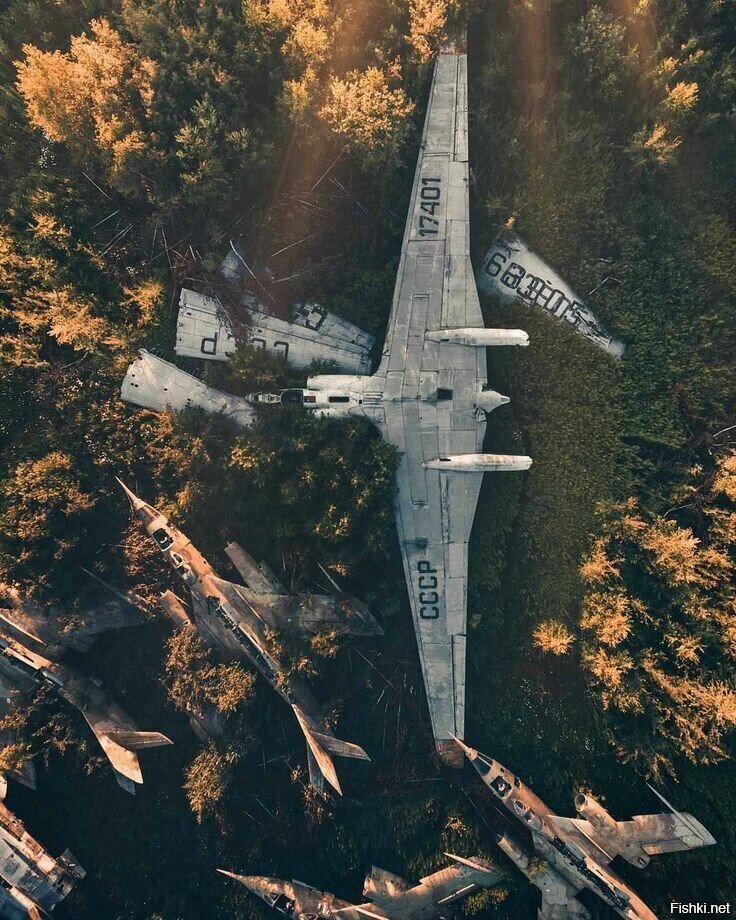 Солянка