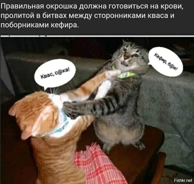 Солянка