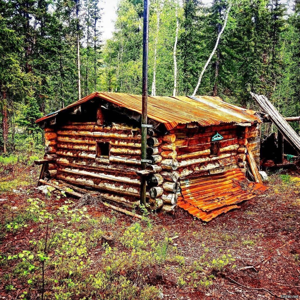 Солянка