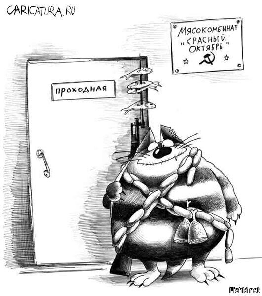 Солянка