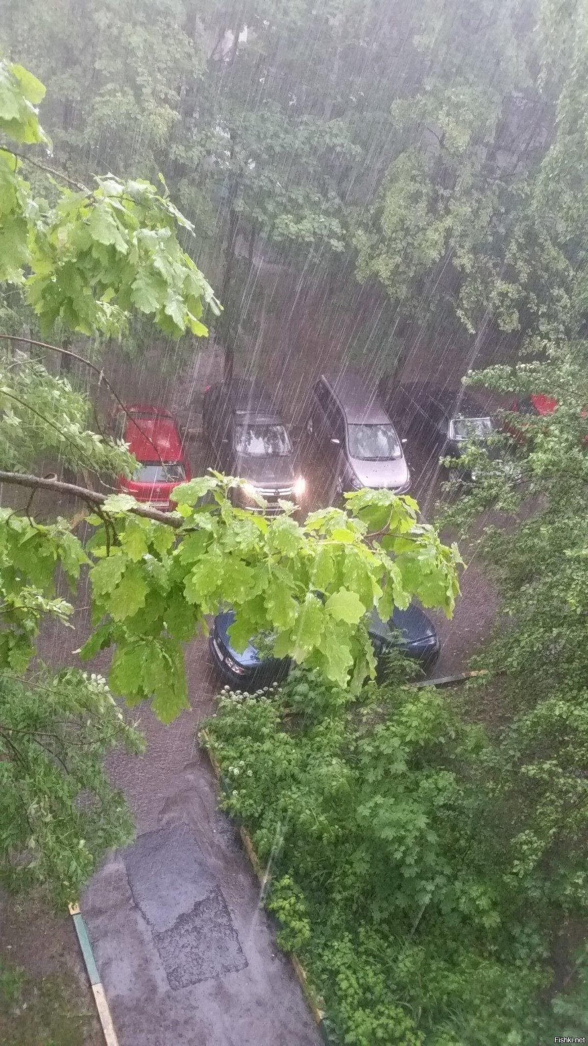 Солянка