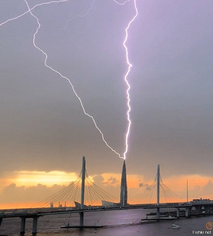 Сегодня в Питере