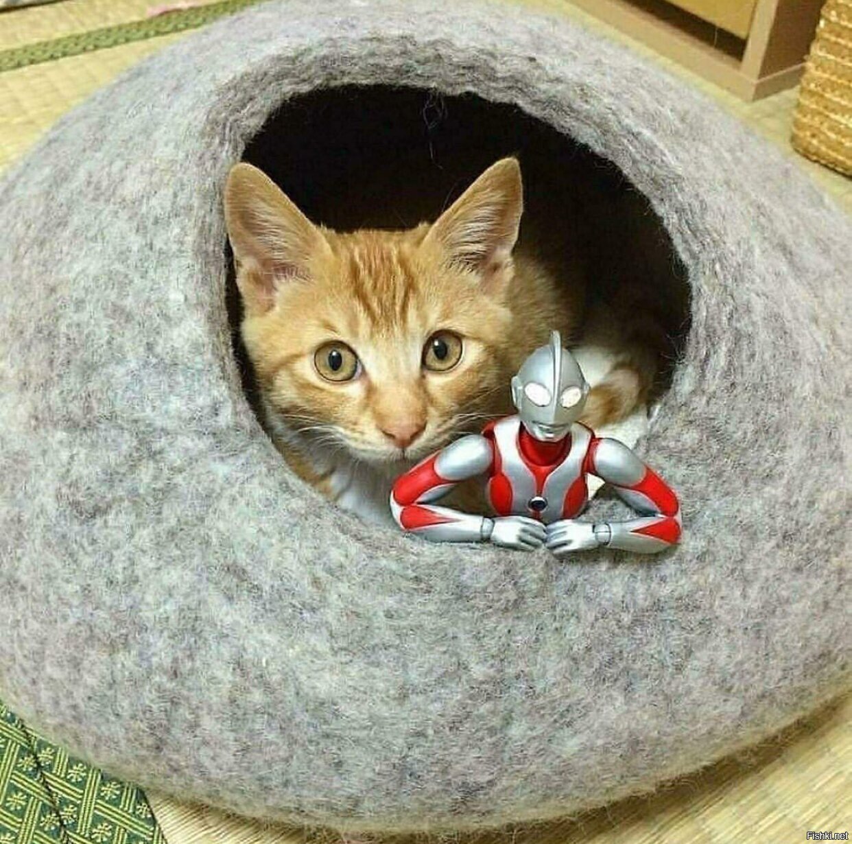 Солянка
