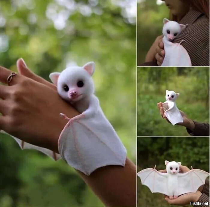 Вторая волна коронавируса