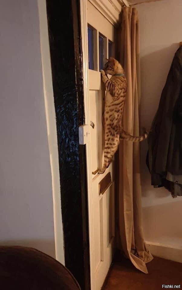 Хто тям