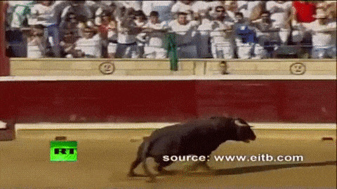 - Ребята, подождите, я с вами