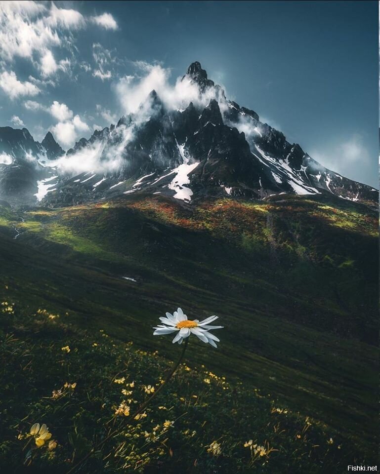 Турция, Карадениз
