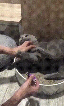 А - аргумент