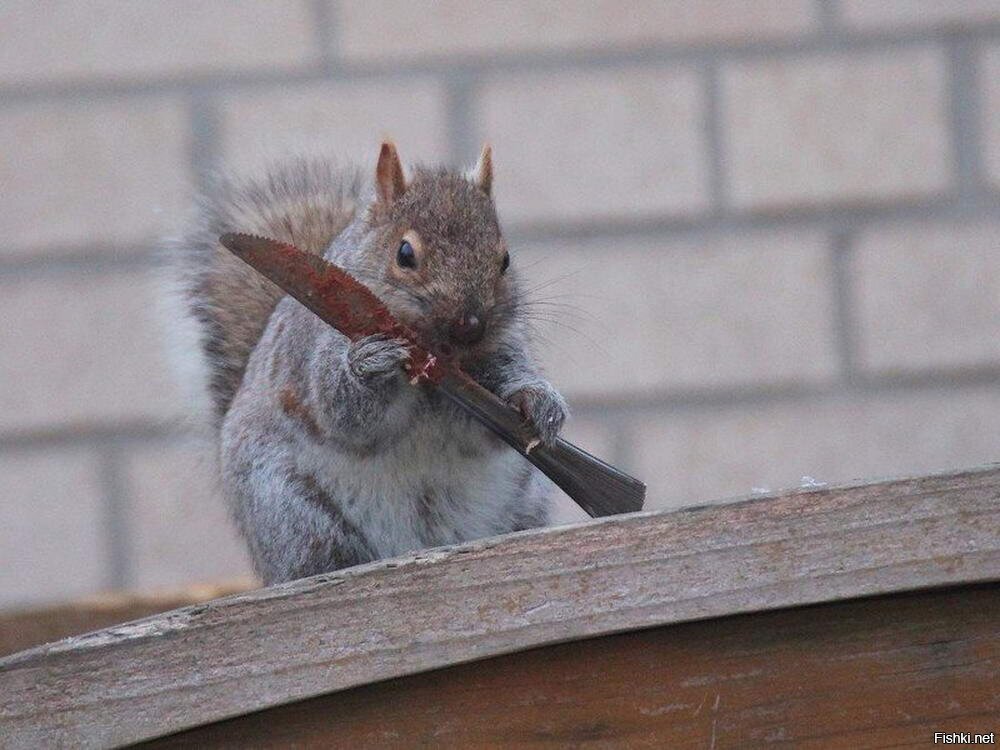 неожиданно