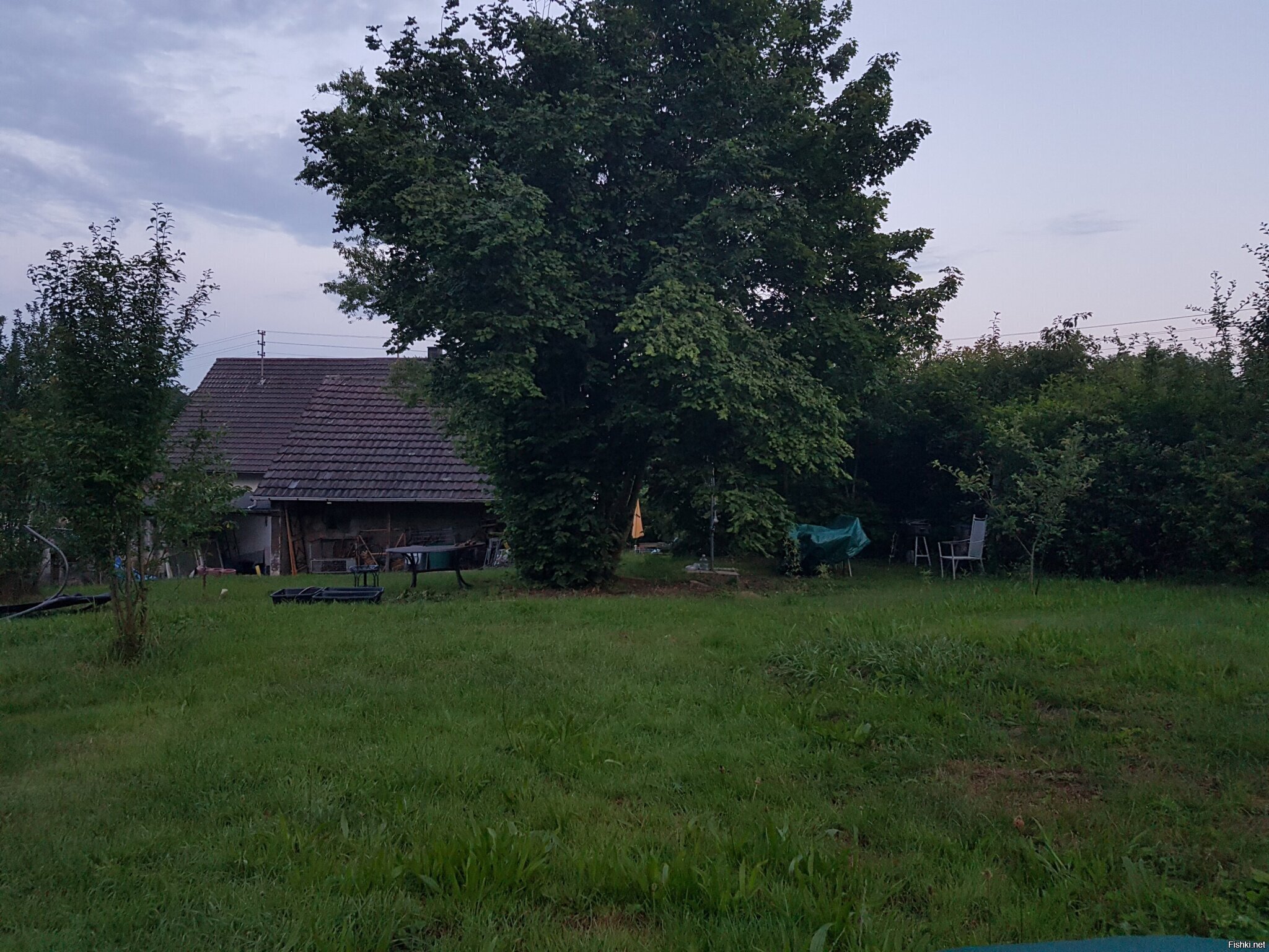 Деревенское утро