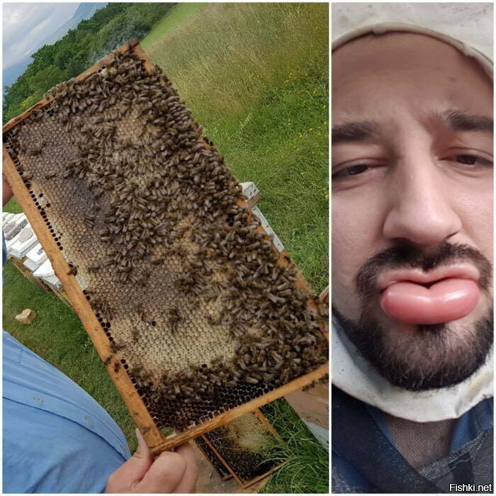 Солянка