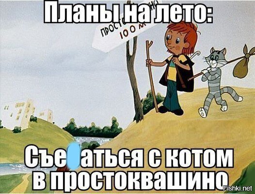 Солянка