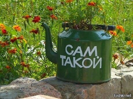Солянка